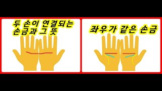 초강력 행운의 손금- 당신의 미래가 손금으로 알수 있습니다