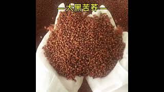 Buckwheat tea苦荞茶