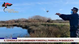 ATTUALITÀ. IL GENERALE DEI CARABINIERI FORESTALI, PARRULLI IN BASILICATA