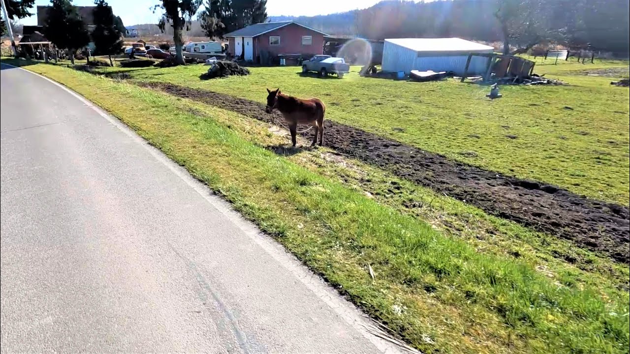 Bonus Footage Youtube