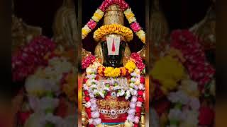 Tirumalavasa Srinivasa Govinda Venkataramana Govinda #tirupatibalajialipirisrivarimettu #viralvideo