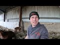 rolling and calving update