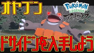 【ポケモンアルセウス】オヤブンのドサイドンを入手しよう【Pokémon LEGENDS アルセウス】