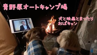 【青野原オートキャンプ場】ソロキャン　　冒険おばキャンSAKURA