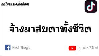 #เพลงใหม่ จ้างมาสบตาทั้งชีวิต #ฮิตในTikTok