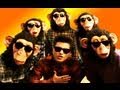 BRUNO MARS "The Lazy Song" (Music Video Parody) "CRAZY SONG"