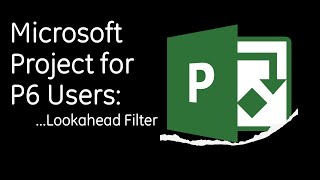 How to set-up a 2-week Lookahead Filter in Microsoft Project just like you would in Primavera P6