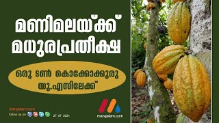 മണിമലയ്ക്ക് മധുരപ്രതീക്ഷ ഒരു ടണ്‍ കൊക്കോക്കുരു യു.എസിലേക്ക്‌