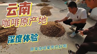 中国云南咖啡原产地深度体验 【自驾旅行中国\u0026美食2023】 China coffee origin /Road-trip in China  Yunnan Province