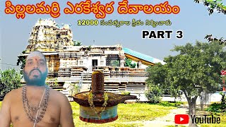 పిల్లలమర్రి లో ఎరకేశ్వర స్వామి దేవాలయం  | pillalaamarri Erakeswara Swami temple | chinnylol