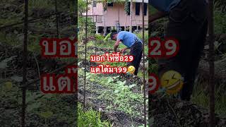 บอกให้ซื้อ29แต่ได้มา99 #5555 #ลิปซิ้งค์ #แม่โสชาแนล #ตลก #ไวรัล #funny #555 #คลายเครียด #garden #ขำ