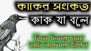 কাক টোটকা কাকের ডাকের সংকেত তিন দিনের মধ্যে জীবনে যা পরিবর্তন crow sound mp3,crow sound and meaning