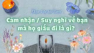 🌥 CẢM NHẬN / SUY NGHĨ VỀ BẠN MÀ HỌ GIẤU LÀ GÌ? 🕊- Chọn 1 Tụ Bài Tarot [TIMELESS]