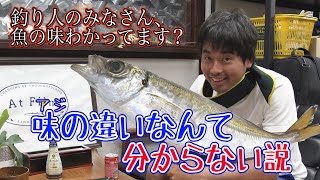 横浜のブランドアジ『金アジ』って本当に美味しいの？利きアジしてみた！