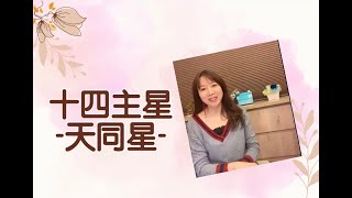 【紫微斗數十四主星】赤子之心「天同星」，永遠的少女心，斗數裏最有福氣的一顆星（聲音加大版，看過的可以跳過）