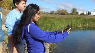 Field Learning For Teens 2016