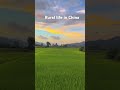 rural life in china。当你回到家乡，你会慢慢发现，自己一直思念的不是故乡，而是儿时的时光。 china travel rural