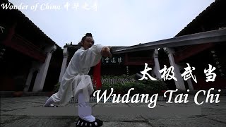 Wonder of China: Wudang Tai Chi 中华之奇 太极武当