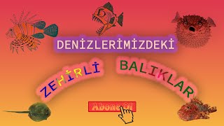 DENİZLERİMİZDEKİ EN ZEHİRLİ BALIKLAR 🐟 ( ÇOK TEHLİKELİLER❗️❗️ )