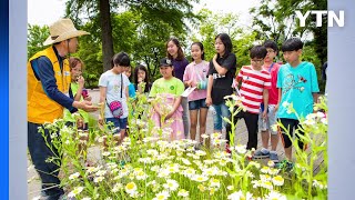 [서울] 서울시, 내년 5월 세계 첫 '어린이정원 축제' 개최 / YTN