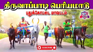 திருவாப்பாடி பெரியமாடு அறந்தாங்கி புதுக்கோட்டை மாவட்டம்