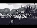 Should You Buy The Andalusian Horse? | Star Stable Online |