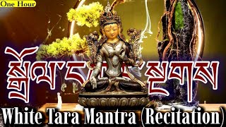 ☸White Tara Mantra(Recitation)Powerful Devi Mantra|Buddhist Mantra For Health, Longevity \u0026 Happiness