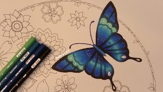 How I Color A Butterfly