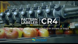 Fruit tray pattern labeling solution: Sinclair CR4