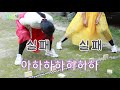 우리 조상님이 했던 홈트 전통놀이로 운동하기 part 2 발목지놀이 비석치기 고무줄놀이 자치기