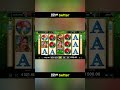 spin spinbetter slot rulet roulette freespin casino betting bonanza sweetbonanza dede