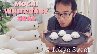 WalkingSweet |ตามล่าหาโมจิอุ๋งอุ๋ง โมจิแมวน้ำที่กำลังHotสุดๆMochi WhiteBabySeal น่ารักมากTokyo Sweet