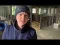 new horse but will deja s foal come too soon hoeve noordenwind vlog 3