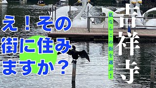 【治安ランキング上位の街、部屋をご紹介】住みたいまちランキングいつも一位、吉祥寺駅癒し空間の井の頭公園あり、有名な商店街多数あり、おしゃれな飲食店多数あり、街全体がおしゃれで、ランキング一位に納得です