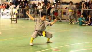 Shaolin Taizu Chang Quan