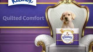 Kleenex® Luxury Quilts Toilet Paper – The Ultimate Quilted Comfort