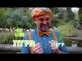 למידה על חיות שונות *zoo* טלוויזיה לילדים בדוק את זה תסתכל על זה blippi