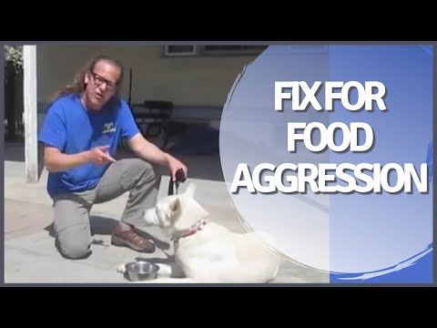 Food Aggression Resource Guarding Solid K9 Training Food Aggression Resource Guarding Solid K9 Training
