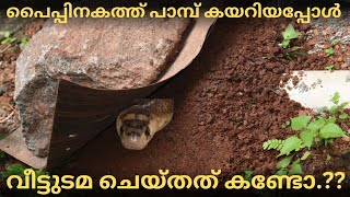 പാമ്പിനെ മണ്ണിട്ട് മൂടി 🐍🐍🐍Cobra stucked in a drainage pipe