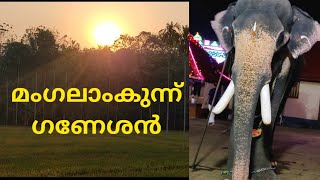 🐘Mangalamkunnu Ganeshan 🔥 | മംഗലാംകുന്ന് ഗണേശൻ | Kerala elephants |  #appuzrocky #shortvideo