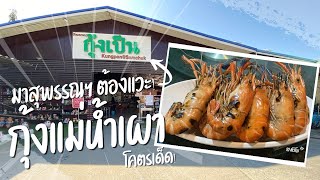 เจ๊เน้ยกุ้งเป็น: ร้านกุ้งแม่น้ำเผาเด็ดๆ ในสามชุก สุพรรณฯ