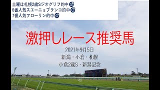 【競馬】新潟記念　小倉2歳S予想　2021年9月5日推奨レース＆推奨馬