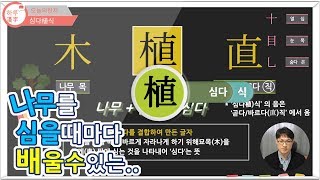 [하루한자] 심다植식 | 나무를 심을 때 마다 배울 수 있는 | 한자공부 | 한자부수