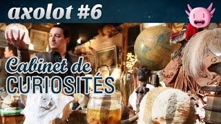 Axolot #6 : Cabinet de curiosités