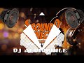 dj audiophile sound check 2024 wawe remix