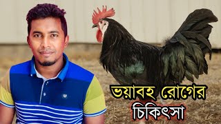 শীতকালে মুরগির ভয়াবহ কিছু রোগ এর চিকিৎসা | local chicken farming @chitrapurikrishichita