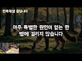 85세 의대 교수가 매일 아침 절대 빼먹지 않고 평생하는 이것은 건강정보 오디오북 명언 책읽어주는 남자