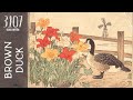 Brown Duck / Lofi Song ️☕ Relaxing Lofi Make Your Day Better 🎵