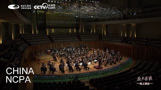 Frühlingsstimmen, Op. 410-CHEN Xieyang \u0026 China National Symphony Orchestra-Spring Online