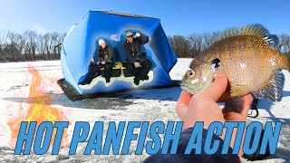 Panfish Action on a Mississippi River Community Hole